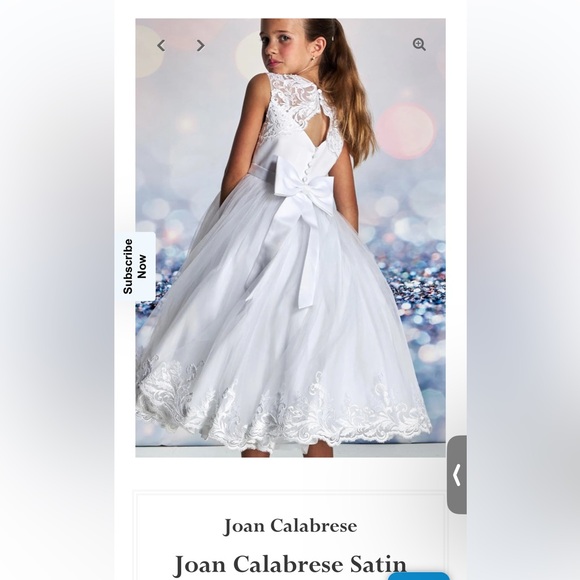 Flower girl dress Joan Calabrese pageant dress gown wedding dance